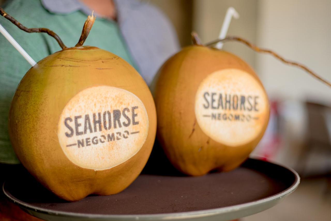 Seahorse Hotel & Spa Negombo Ngoại thất bức ảnh
